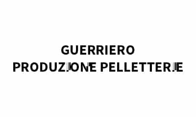 17-GUERRIERO